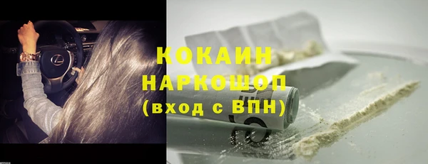 винт Богданович