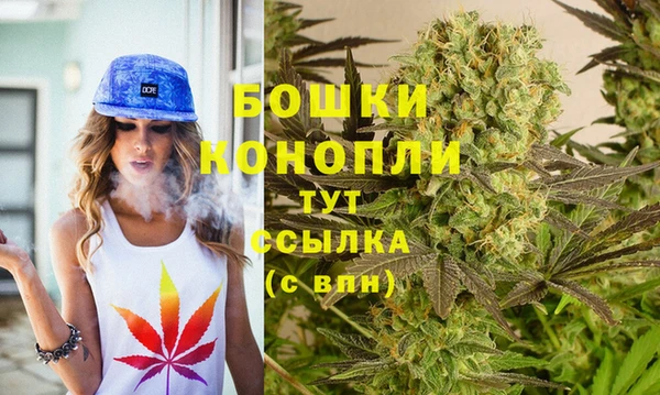 mix Богородицк